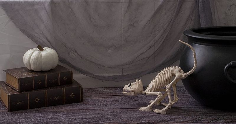 7-inch tall pouncing skeleton kitty