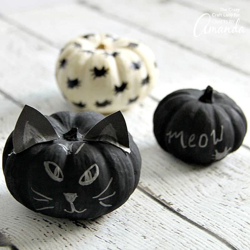Black cat painted pumpkins 