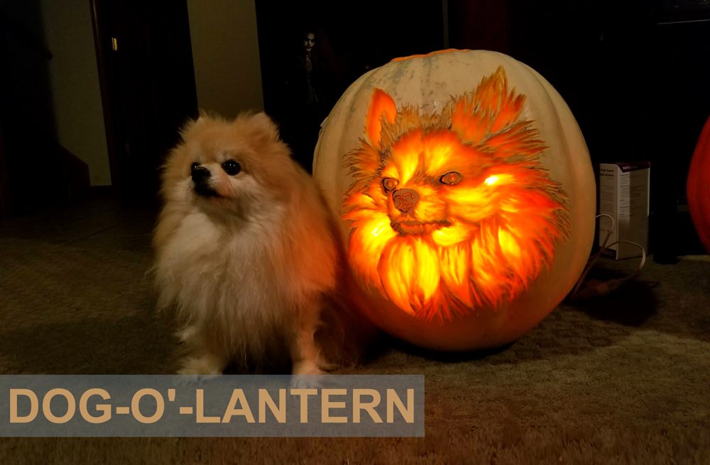 Carve dog-o'-lantern Pumpkin-This-Halloween