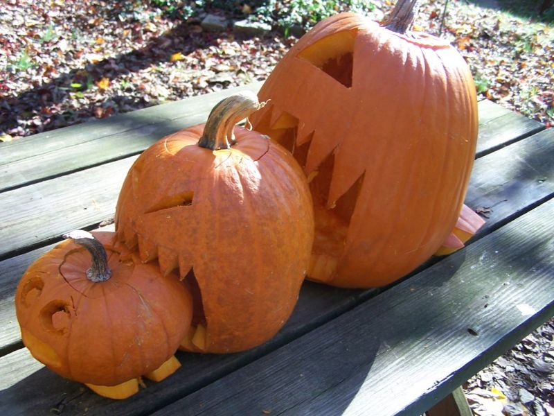 three pumpkins eating each other pumpkin carving design 