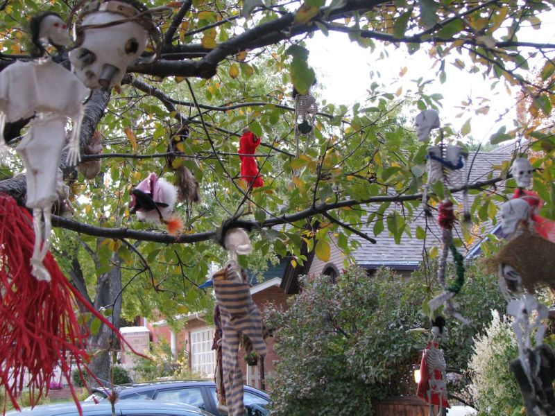 dolls hanging from backyard trees 