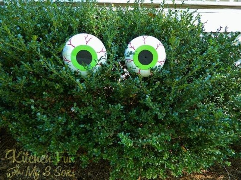 creepy big eyes on the bush for Halloween