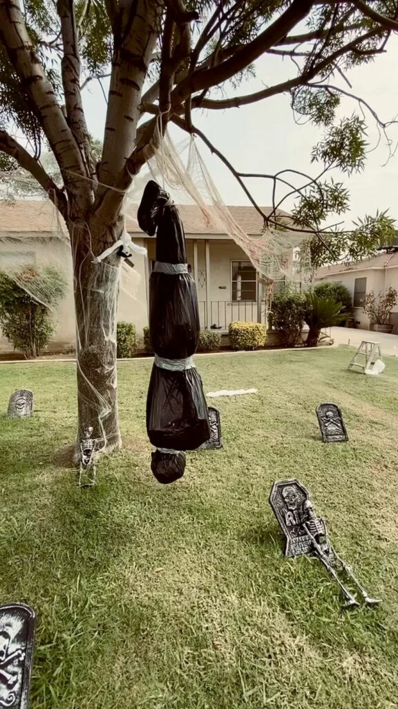 Dead Body Hanging From a Tree