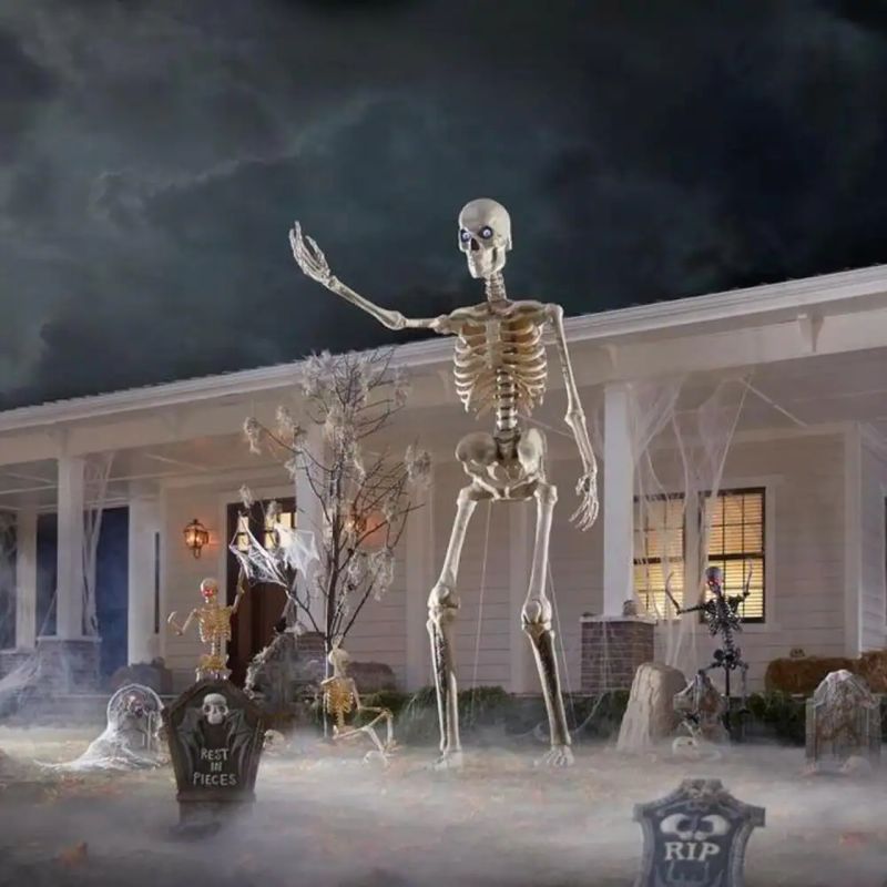 Life-size Skeleton prop for Halloween