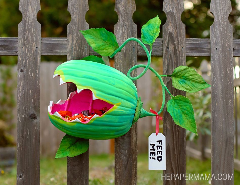 Venus Fly Trap Pumpkin Candy Holder on wooden fence 