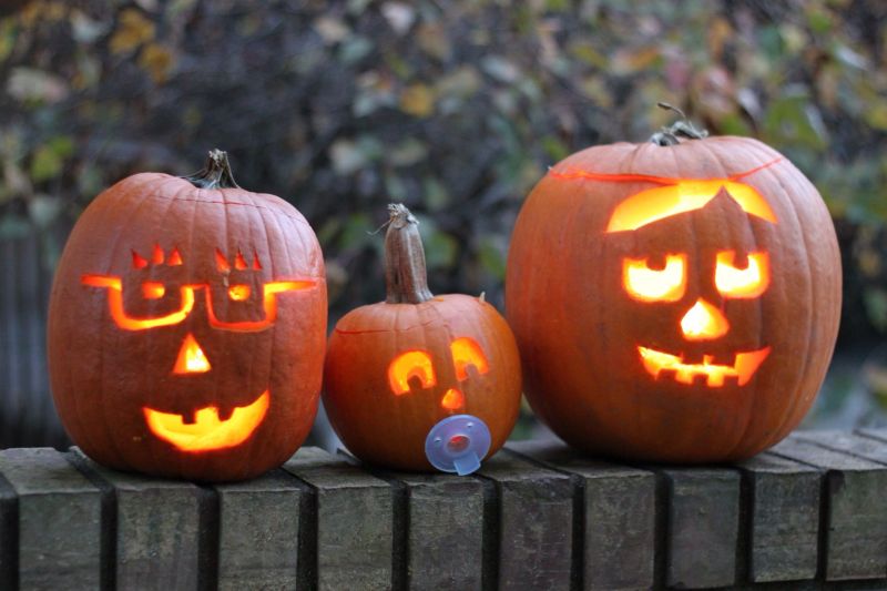 pumpkin family carving pattern ideas 