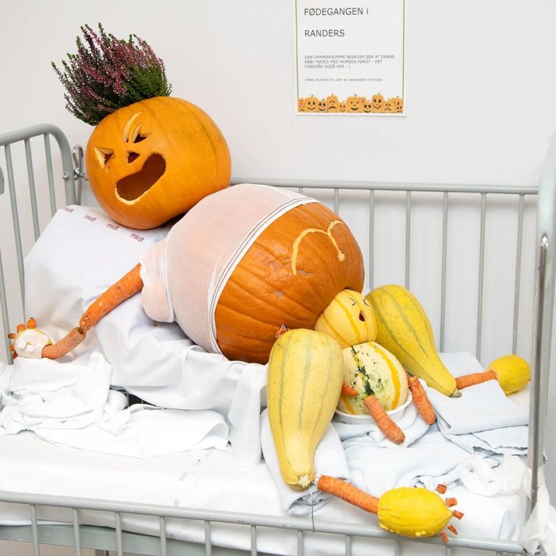 Pumpkins Carved by Midwives at a Local Danish Hospital