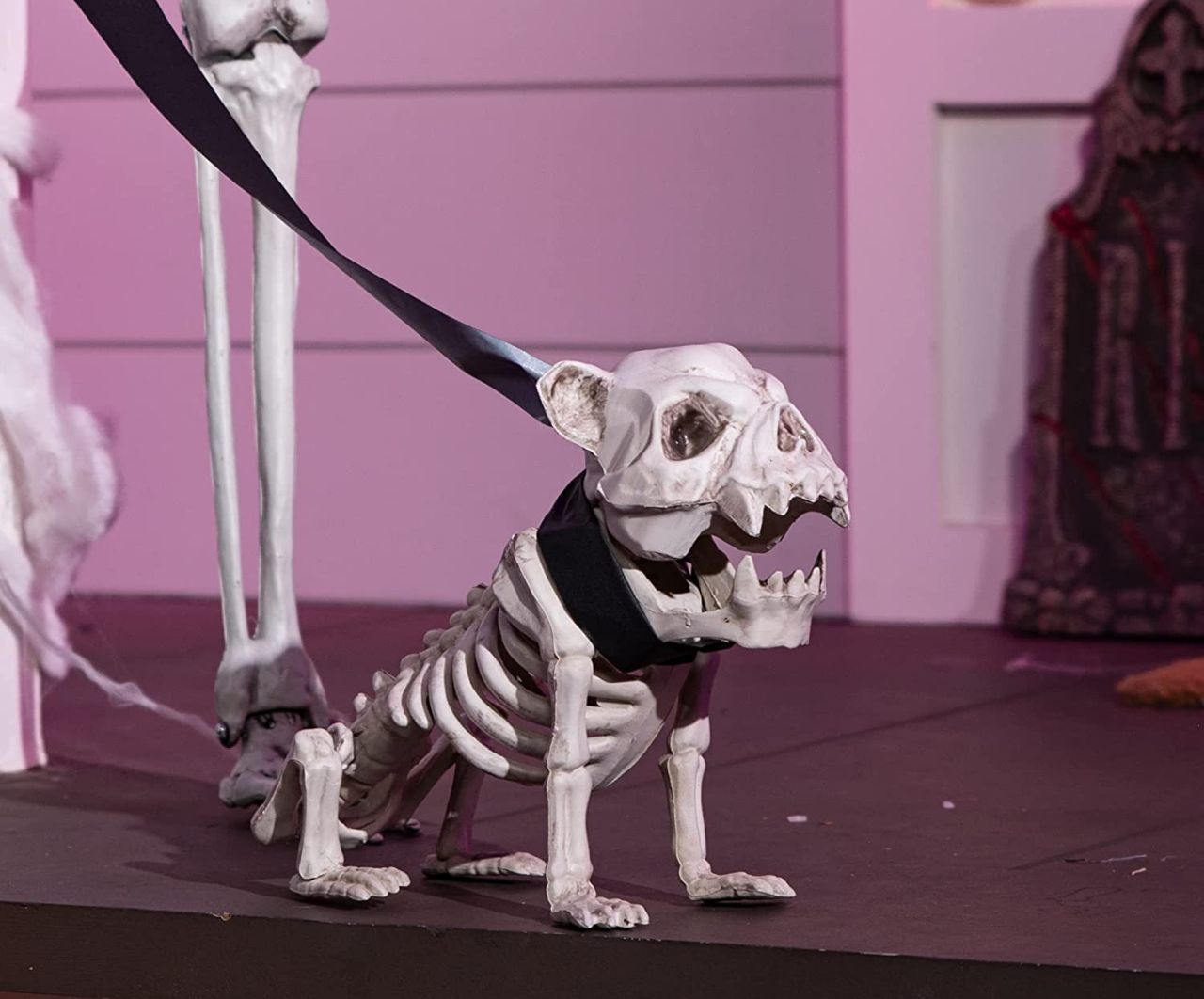 Puppy Skeleton_Best Halloween Skeletons to Buy 2022