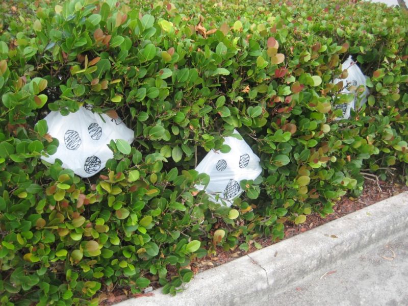 Recycled plastic bag Halloween ghost in the garden plants  