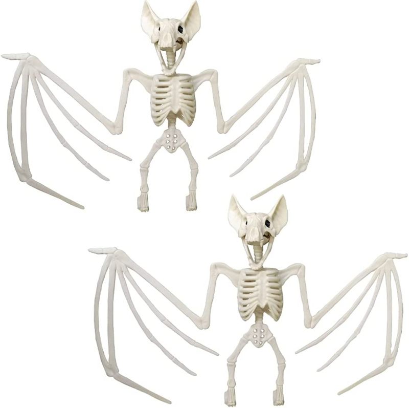 Scary looking bat skeleton