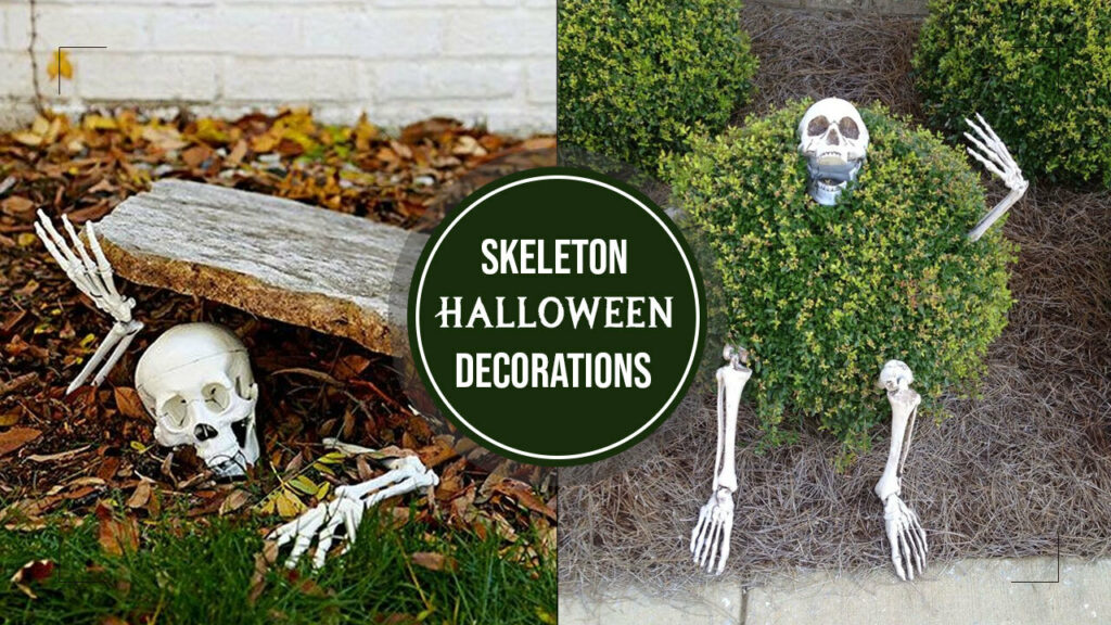 skeleton halloween decoration ideas for outdoors