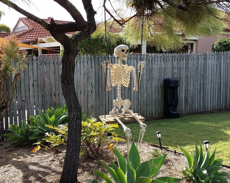 skeleton swinging in the backyard 