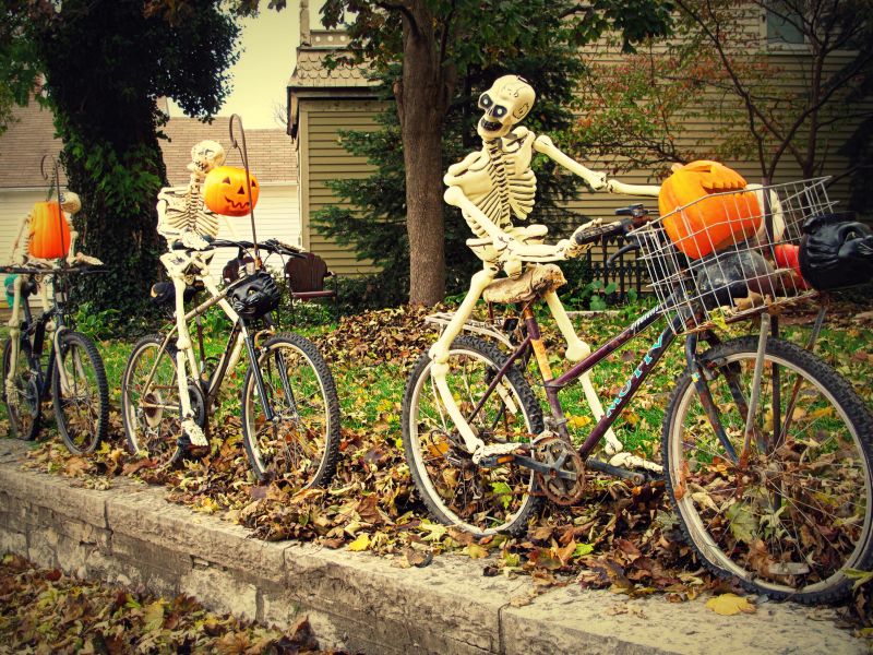 Skeleton riders in backyard