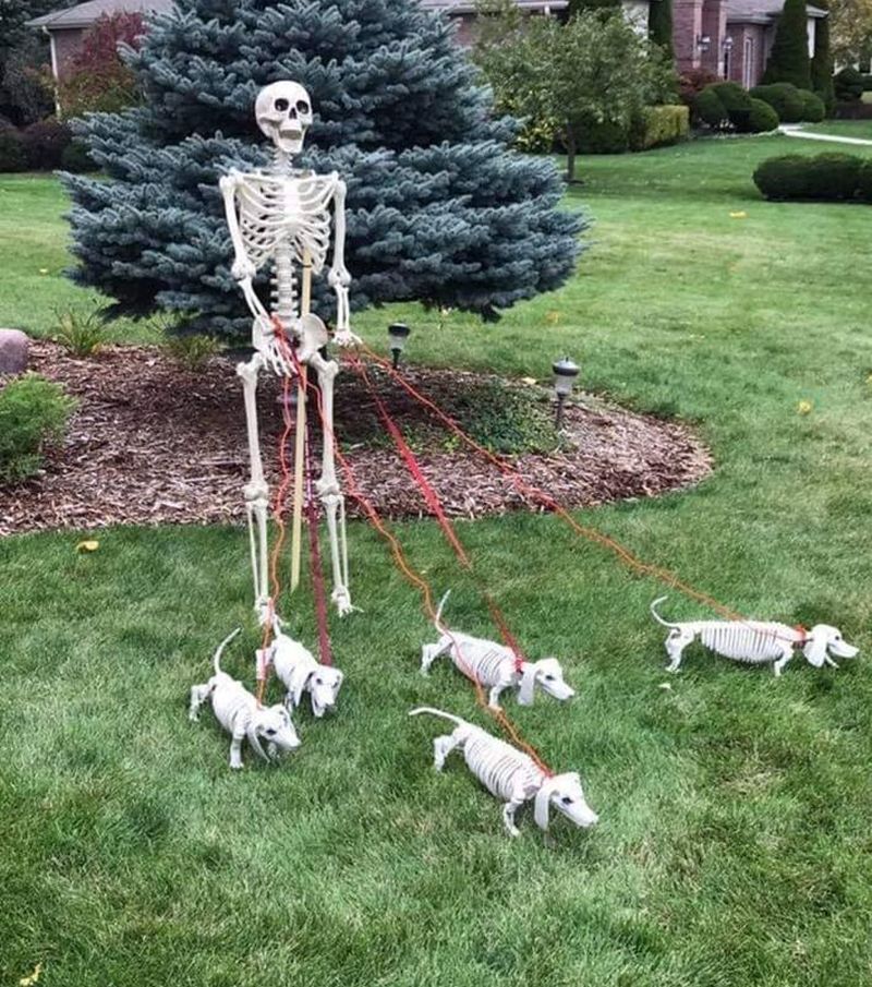 Skeleton taking puppies to a walk