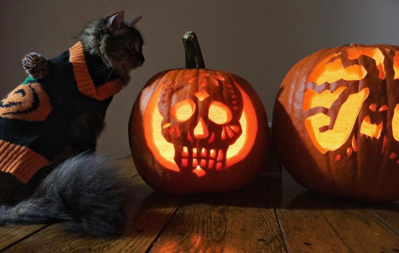Skull pumpkin carving halloween 