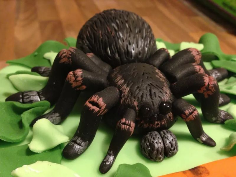 tarantula Spider cake for Halloween 