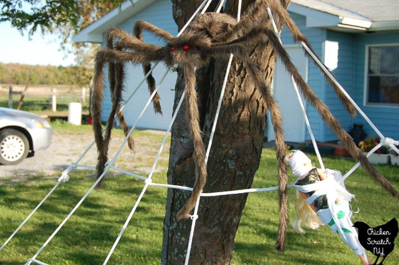 giant spider web on the tree 