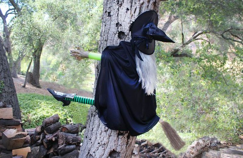 Halloween faux witch clinging to garden tree 
